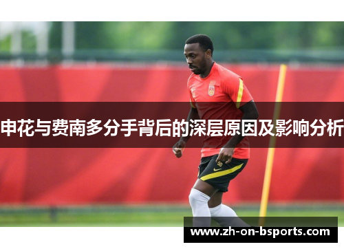 申花与费南多分手背后的深层原因及影响分析 申花与费南多分手背后的深层原因及影响分析