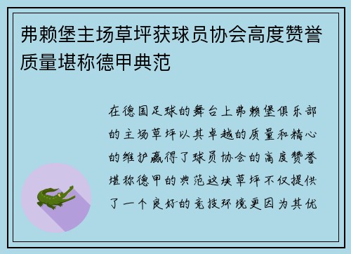 弗赖堡主场草坪获球员协会高度赞誉质量堪称德甲典范 弗赖堡主场草坪获球员协会高度赞誉质量堪称德甲典范